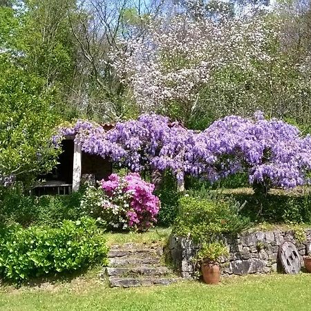 O Lughar Darriba Fogar Natural Villa Gallardo Ngoại thất bức ảnh